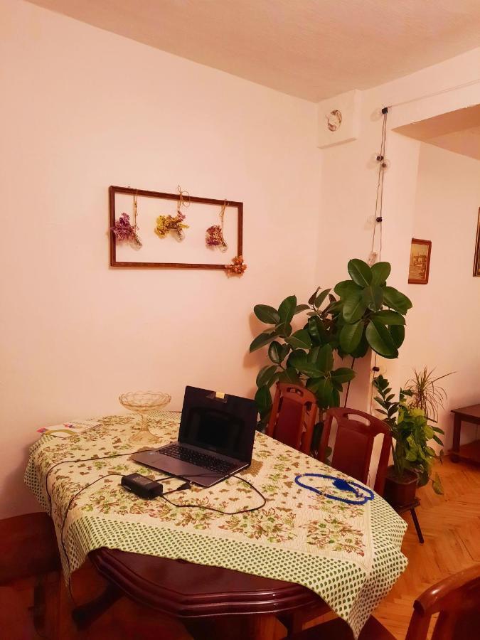 Villa Sunshine House Pančevo Esterno foto