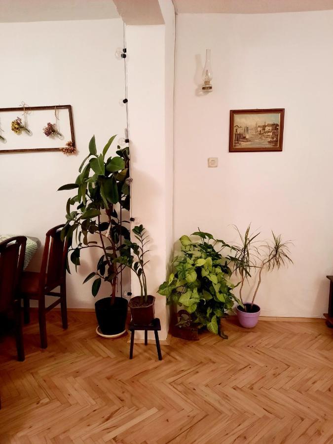 Villa Sunshine House Pančevo Esterno foto