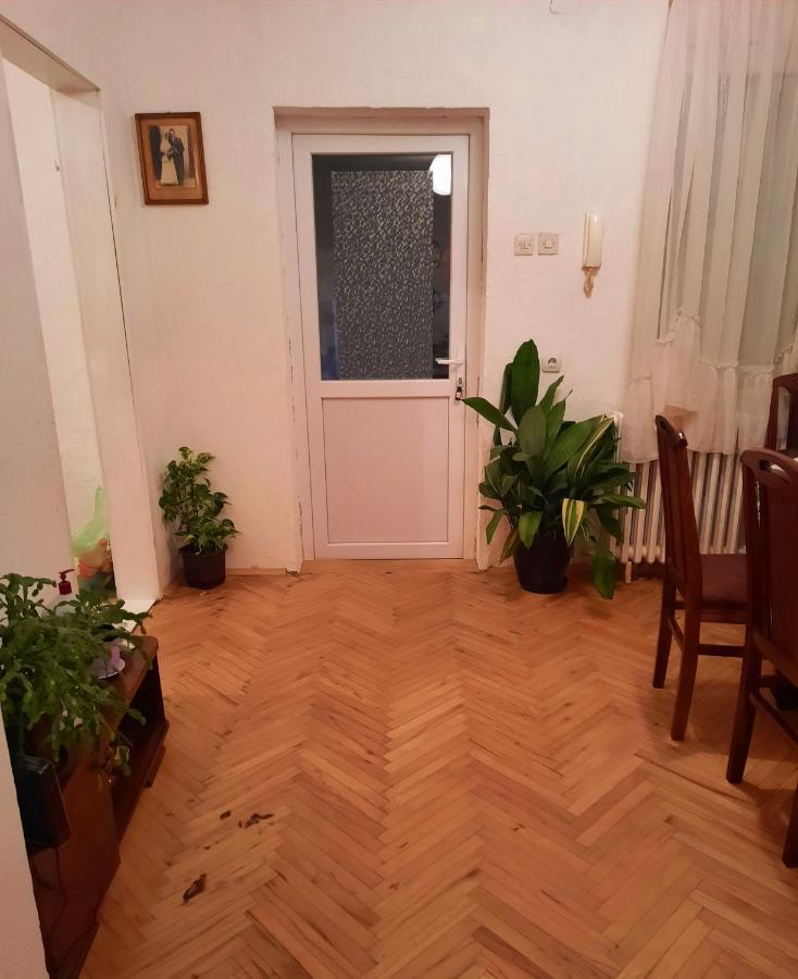 Villa Sunshine House Pančevo Esterno foto
