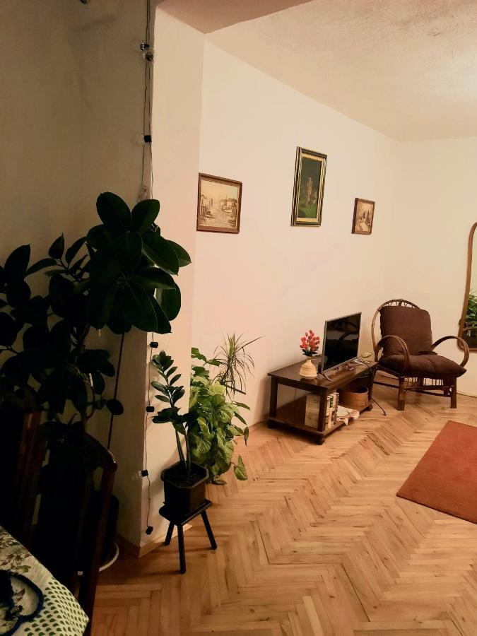 Villa Sunshine House Pančevo Esterno foto